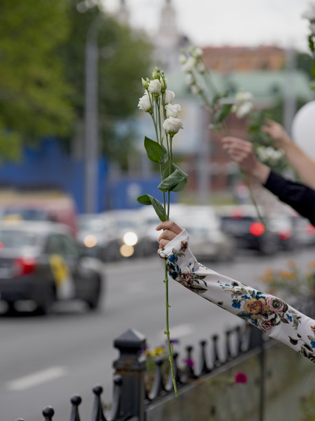教堂背景上手持白花图片下载