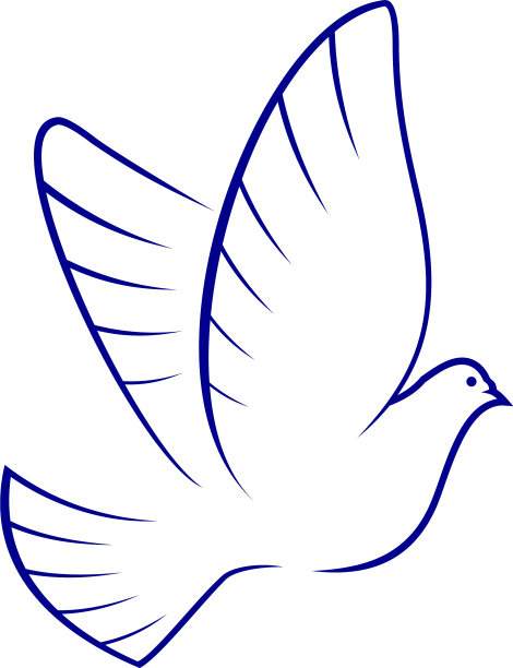 鸽子隔离圣鸽图片下载