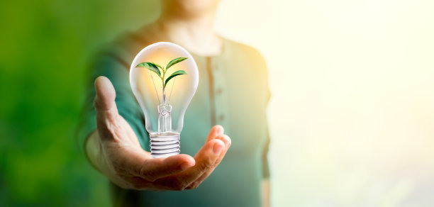 男人手里拿着灯泡，里面长着树。全景生态环境概念与复制空间图片下载