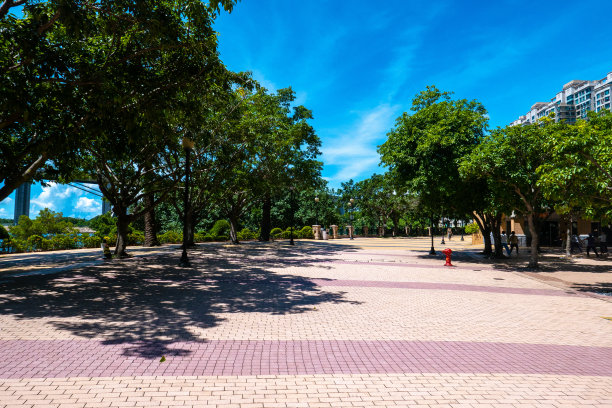 空旷的地板和绿色的森林在自然公园图片下载