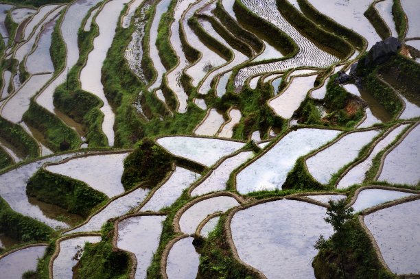 中国贵州：彩色梯田图片下载