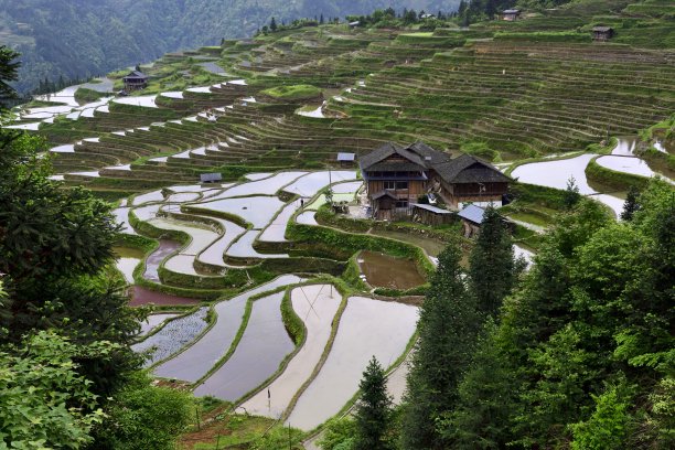 中国贵州壮丽的梯田图片下载