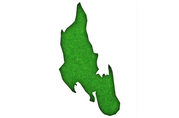 绿色毛毡上的桑给巴尔地图，图片下载