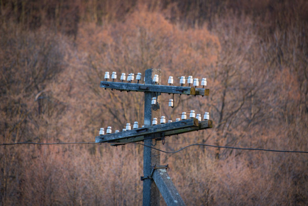 一根废弃的老电线杆图片下载