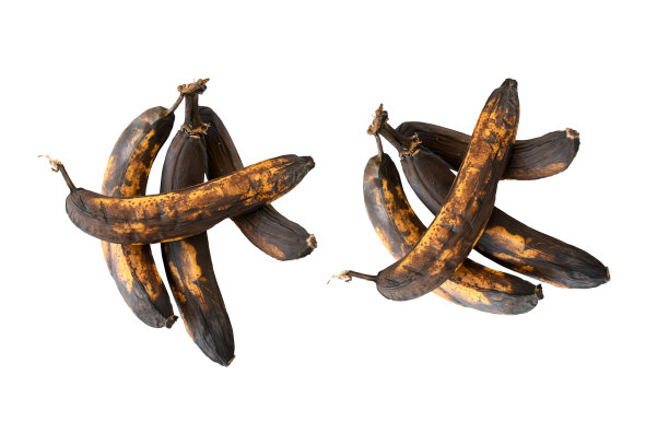腐烂的香蕉，黑皮，深棕色和黄色，不新鲜。不健康和过期的水果。图片下载