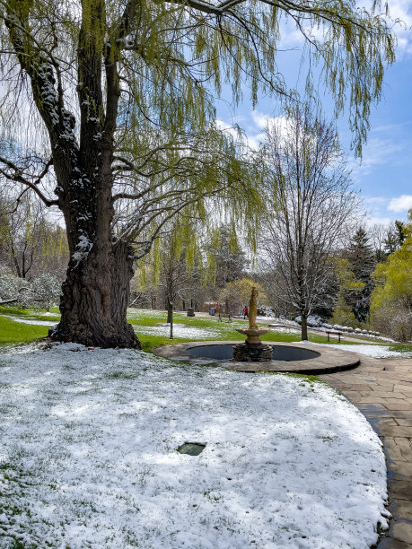 爱德华花园与雪在春天，多伦多，加拿大图片下载