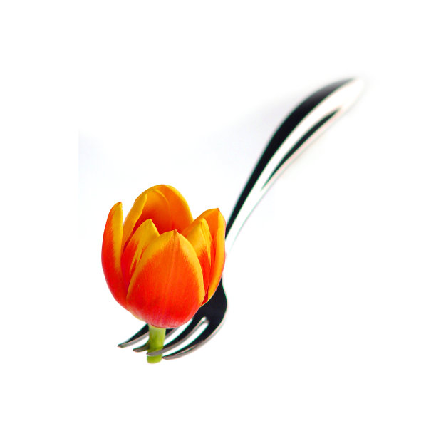 花图标和餐具图片下载