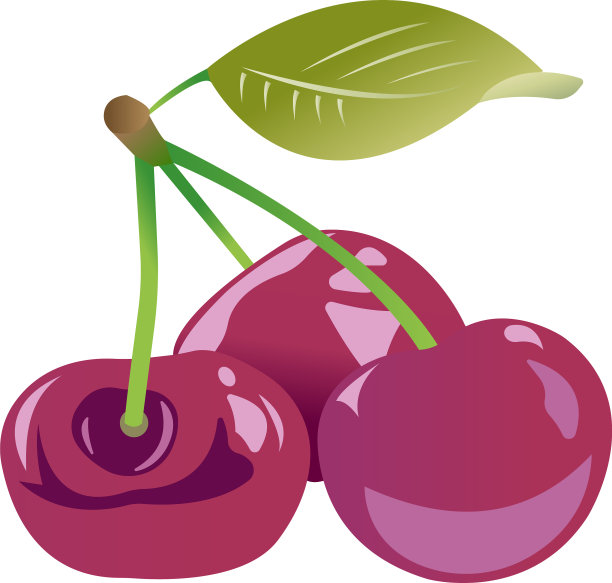 有三颗樱桃和一片绿叶的小树枝图片下载