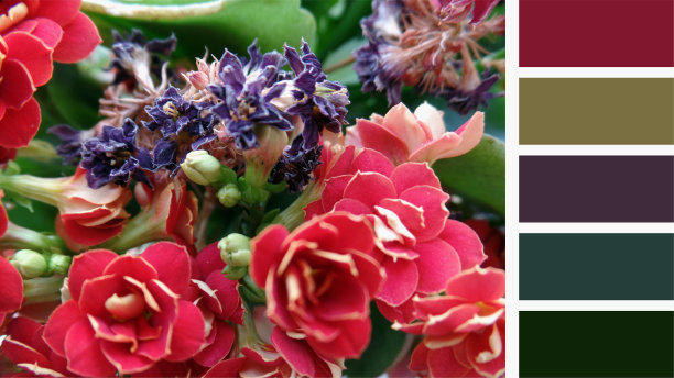 调色板，一束花图片下载