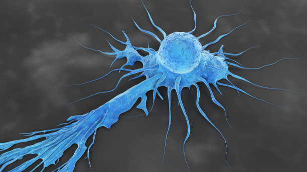 人类癌症细胞图片下载