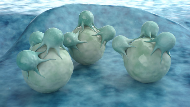 t细胞攻击癌细胞图片下载