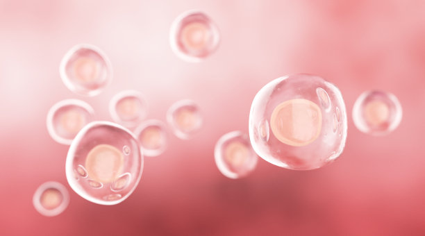 人类干细胞图片下载