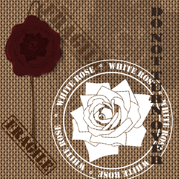 海豹和邮票图片下载