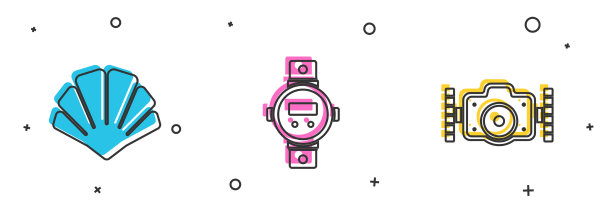 集扇贝、海贝潜水观看和拍照图片下载