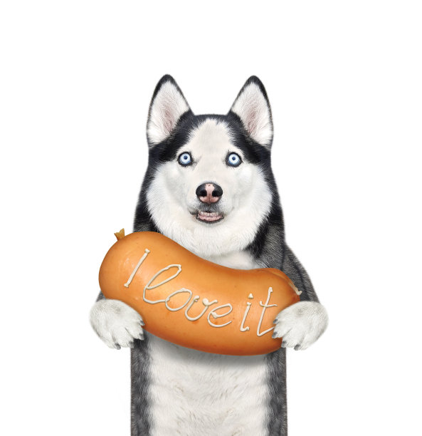 狗哈士奇拿着香肠图片下载