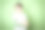 酷年轻的学生与骨折的手臂和绿色石膏站在前面的绿色背景图片下载