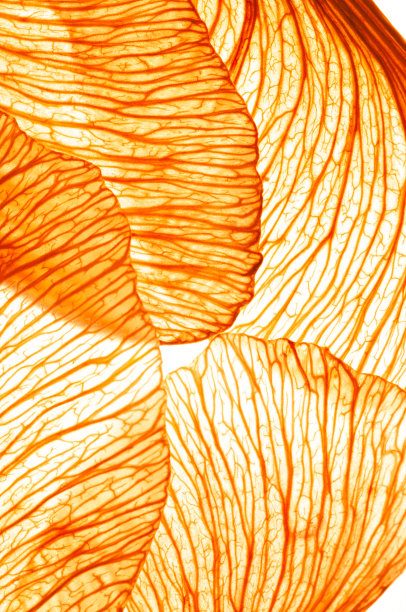 浅橙色的十字路口图片下载