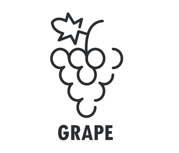 葡萄图标。水果矢量图。矢量插图孤立。图片下载