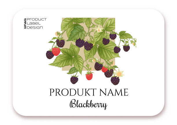 黑莓成熟的莓枝上为模板图片下载