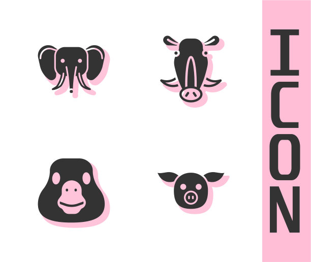 设猪象雁鸟和野猪头图片下载