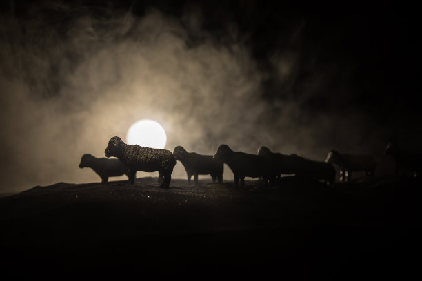 农场里的羊。农场(村)生活理念。晚上装饰玩具人物。有选择性的重点图片下载