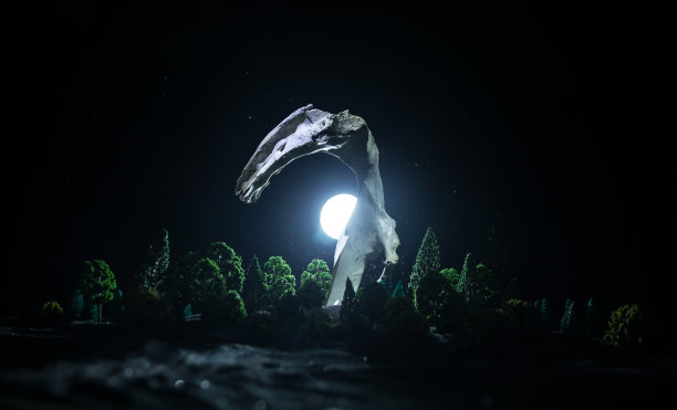 动物骨头在黑暗的万圣节夜晚与雾和灯光的背景/选择性的焦点和空间的文本。抽象的恐惧概念图片下载