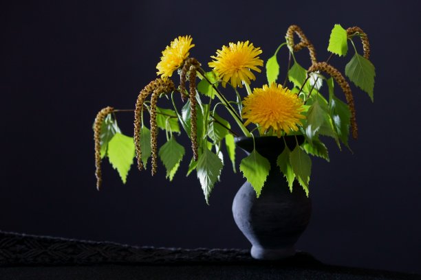 春天的花，蒲公英和桦树的叶子在花瓶上的黑色背景图片下载