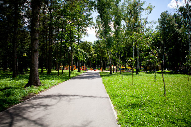 在阳光明媚的日子里，人们沿着公园里高大的绿树散步图片下载