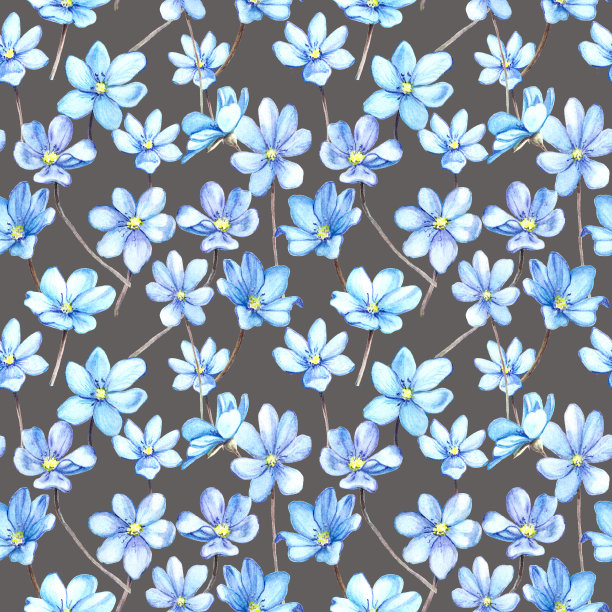 蓝色海葵在棕色上的图案图片下载