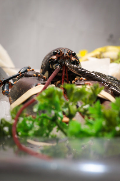 龙虾的垂直图像显示在一个鱼贩图片下载