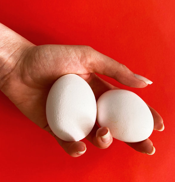 裁剪图像的手拿鸡蛋在红色的背景图片下载