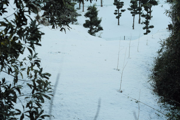大雪雪山的图像素材图片下载