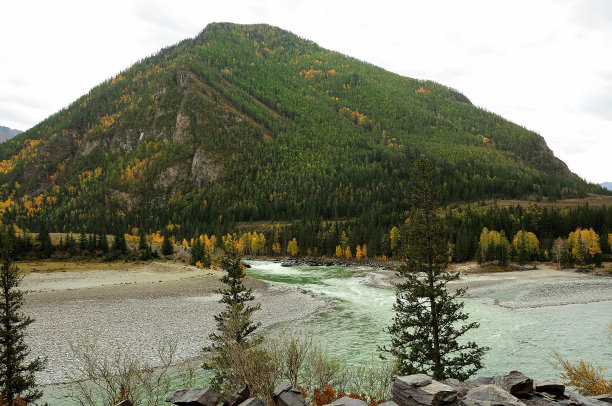 透过高大的松树一望，山脚下两条暴雨溪流的汇合处。图片下载