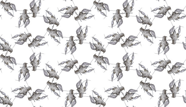 无缝模式与小龙虾在白色的背景。没完没了的小龙虾口感。光栅插图。图片下载