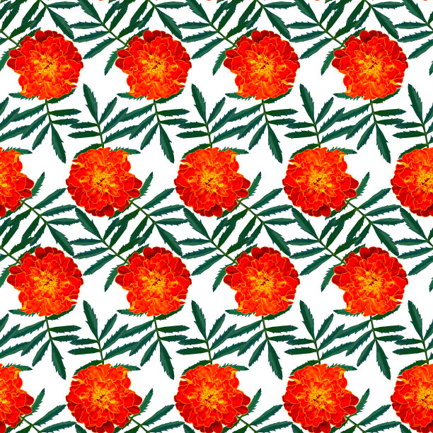 无缝图案，橙色万寿菊(法国万寿菊)花和绿色的叶子在白色的背景。五彩缤纷的花卉纹理。光栅插图。图片下载