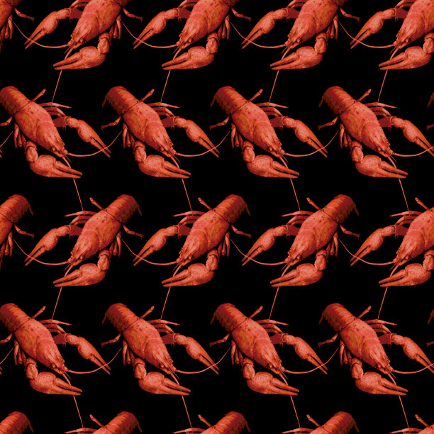 无缝图案与红色小龙虾在黑色的背景。没完没了的小龙虾口感。光栅插图。图片下载