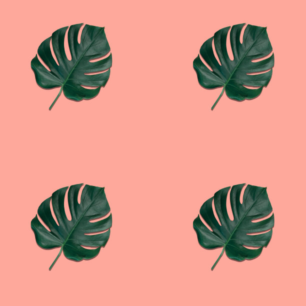 Monstera叶子在粉红色的背景，无缝模式。图片下载