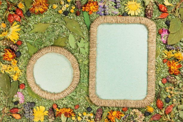 背景的碎片破碎的花和叶。剪贴簿元素由花和花瓣拼接而成。用于卡片、请柬和祝贺。用于问候语，剪贴簿。图片下载