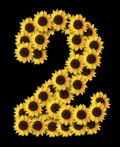 2号向日葵图片下载