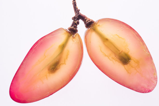 两片熟透的红葡萄。孤立在白色背景上。俯视图图片下载