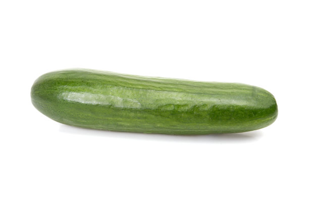 孤零零的成熟绿黄瓜图片下载
