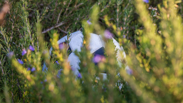 遗弃在草地上的足球图片下载