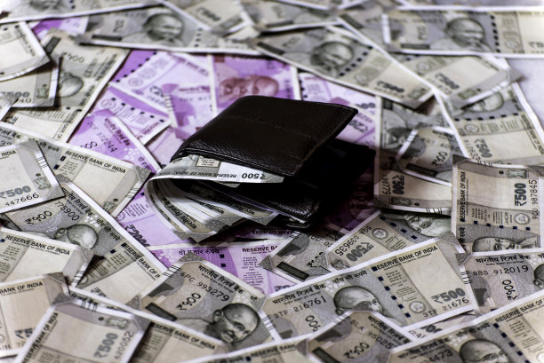 有印度500卢比的钱包图片下载