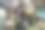 圣诞树玩具装饰品中的微笑猪。2019年是中国农历猪年图片下载