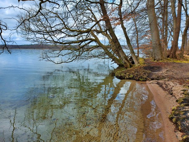 在岸边，自然普尔图片下载