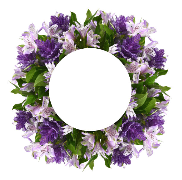 紫色的黄花和装饰性的鳞片，绿叶嵌在花框中，白色的圆形卡片用于文字，孤立在白色的背景上图片下载