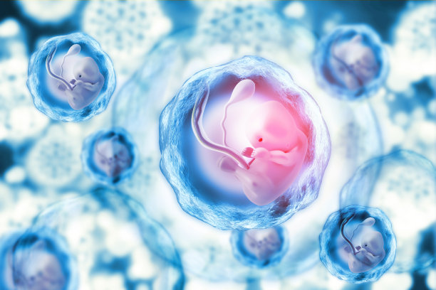 人类胎儿的科学背景。三维演示图片下载