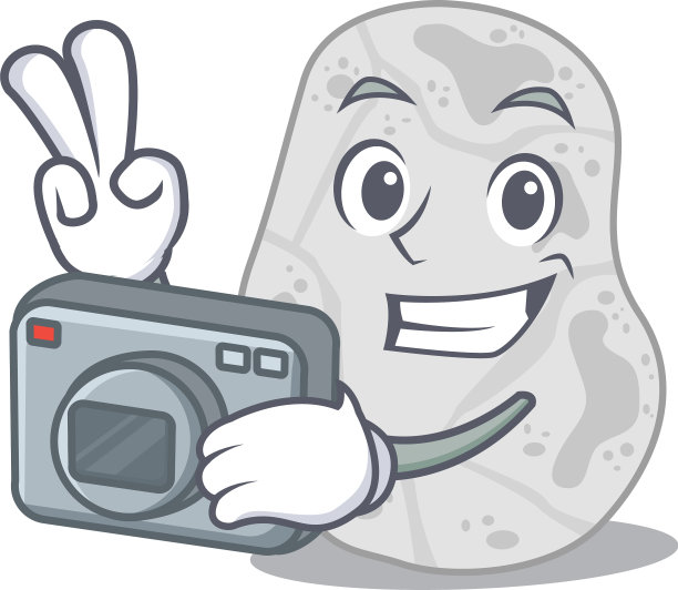 专业摄影师白色的普朗姆菌图片下载