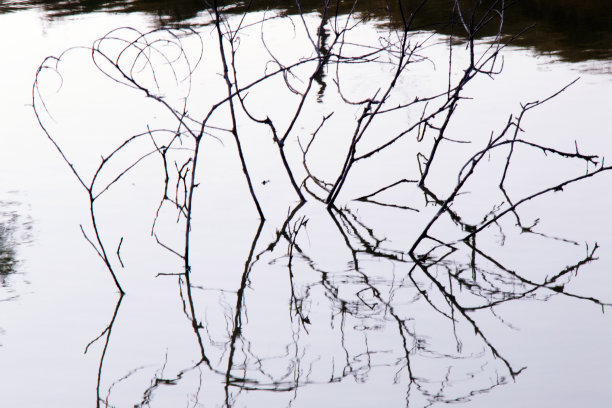 竹鱼竿图案和反射抽象照片图片下载