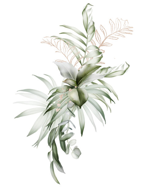 花组成创建贺卡，婚礼邀请，横幅上的白色背景图片下载